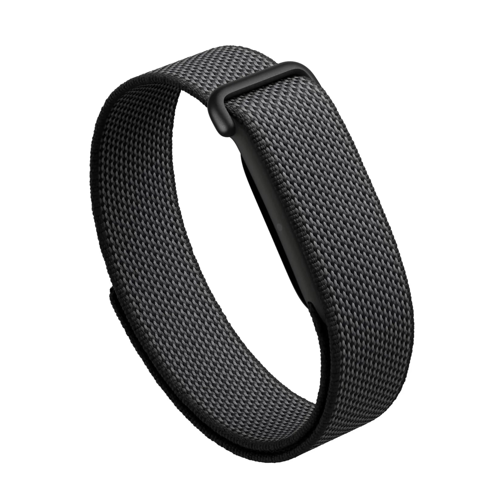 Google Fitbit Air