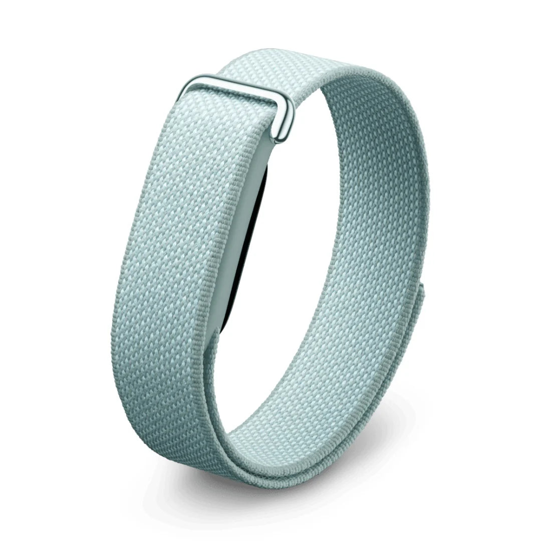 Google Fitbit Air