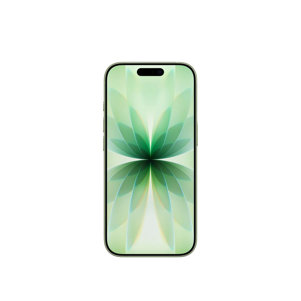 iPhone 17