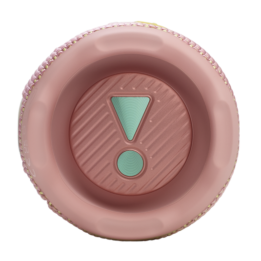 JBL Flip 7 Pink